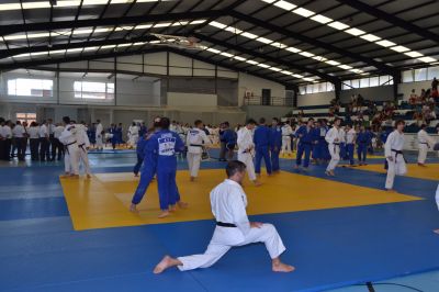 Pulsa para ver la imagen a tamaño completo