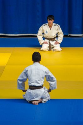 Pulsa para ver la imagen a tamaño completo