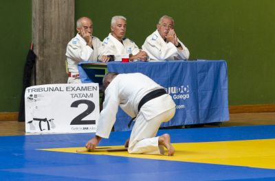 Pulsa para ver la imagen a tamaño completo