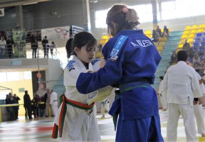 Pulsa para ver la imagen a tamaño completo