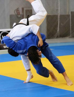 Pulsa para ver la imagen a tamaño completo