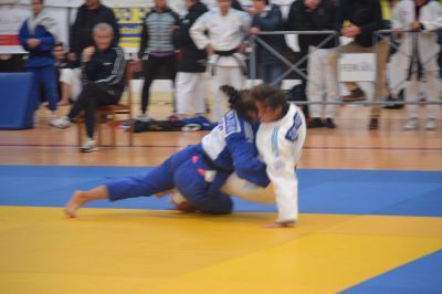 Pulsa para ver la imagen a tamaño completo