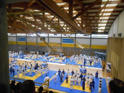 Pulsa para ver la imagen a tamaño completo