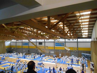 Pulsa para ver la imagen a tamaño completo