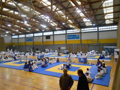 Pulsa para ver la imagen a tamaño completo