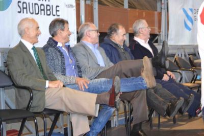 Pulsa para ver la imagen a tamaño completo