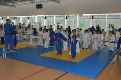 Pulsa para ver la imagen a tamaño completo