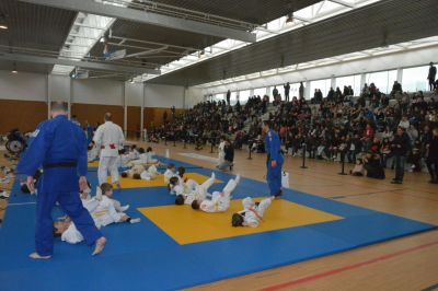 Pulsa para ver la imagen a tamaño completo