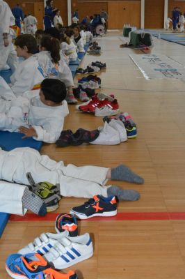 Pulsa para ver la imagen a tamaño completo