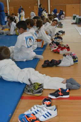 Pulsa para ver la imagen a tamaño completo