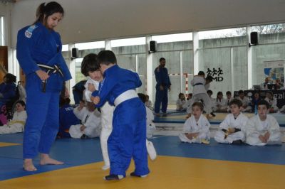 Pulsa para ver la imagen a tamaño completo