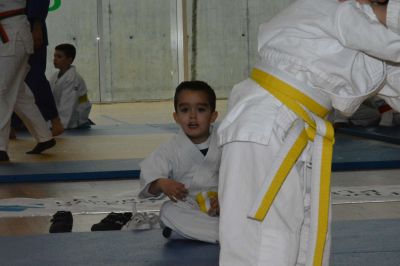 Pulsa para ver la imagen a tamaño completo