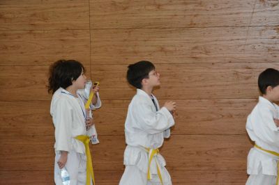 Pulsa para ver la imagen a tamaño completo