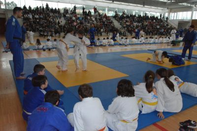 Pulsa para ver la imagen a tamaño completo