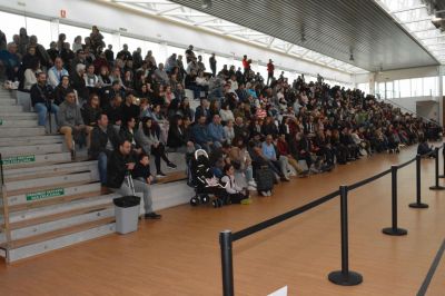 Pulsa para ver la imagen a tamaño completo