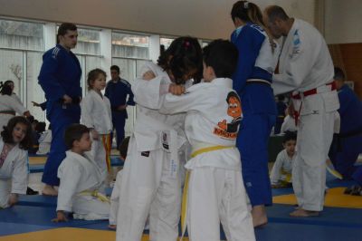 Pulsa para ver la imagen a tamaño completo