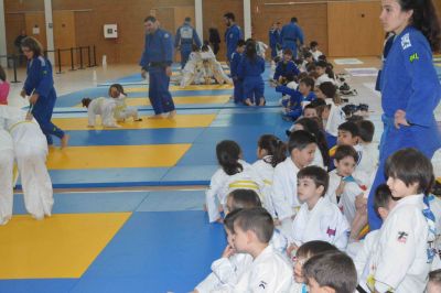 Pulsa para ver la imagen a tamaño completo