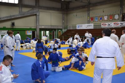 Pulsa para ver la imagen a tamaño completo