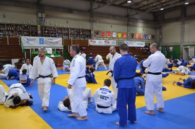 Pulsa para ver la imagen a tamaño completo