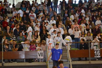 Pulsa para ver la imagen a tamaño completo