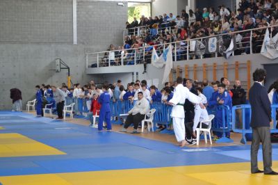 Pulsa para ver la imagen a tamaño completo