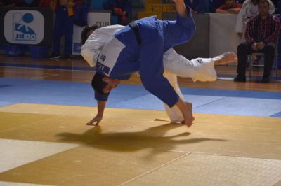 Pulsa para ver la imagen a tamaño completo