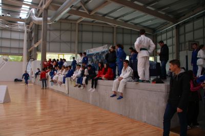 Pulsa para ver la imagen a tamaño completo