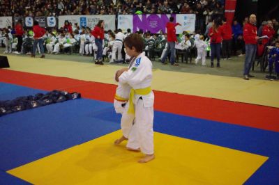 Pulsa para ver la imagen a tamaño completo