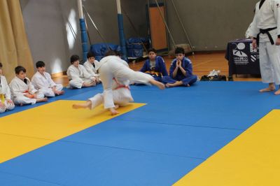 Pulsa para ver la imagen a tamaño completo