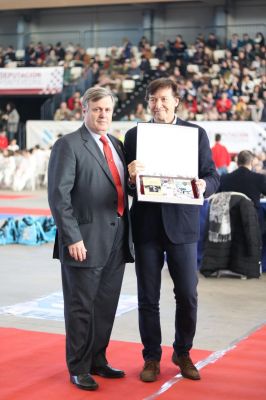 Pulsa para ver la imagen a tamaño completo