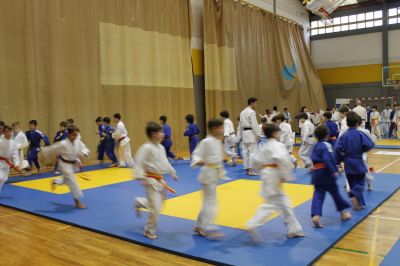 Pulsa para ver la imagen a tamaño completo