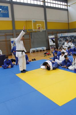 Pulsa para ver la imagen a tamaño completo