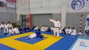 20160213_113922.jpeg