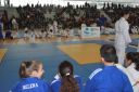 DSC_4133~0.jpeg