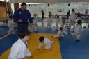 Filename=DSC_6877.jpeg
Filesize=294KiB
Dimensions=2048x1365
Date added=Mar 21, 2017 DSC_6877.jpeg