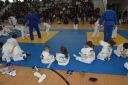 Filename=DSC_6887.jpeg
Filesize=338KiB
Dimensions=2048x1365
Date added=Mar 21, 2017 DSC_6887.jpeg