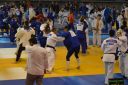 DSC_8178.JPG