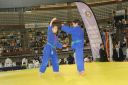 IMG_2158.jpeg