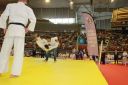 IMG_2279.jpeg