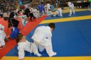 IMG_2337~0.jpeg