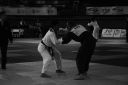IMG_5131.jpeg