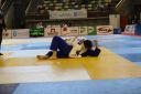 IMG_5328.jpeg
