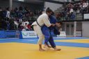 IMG_7772.jpeg